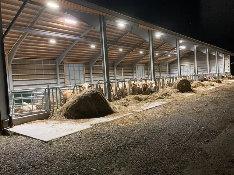 Lantbruk Effektiv kalvuppfödning Izy feeder Izy washer